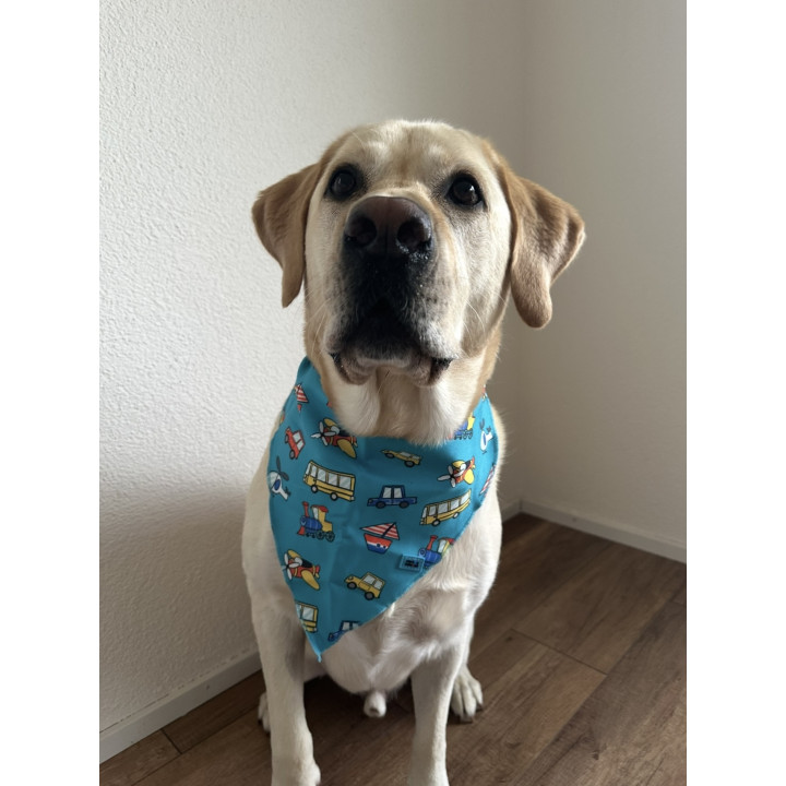Dog Bandana with Travel Print – Adventure Dog Accessory