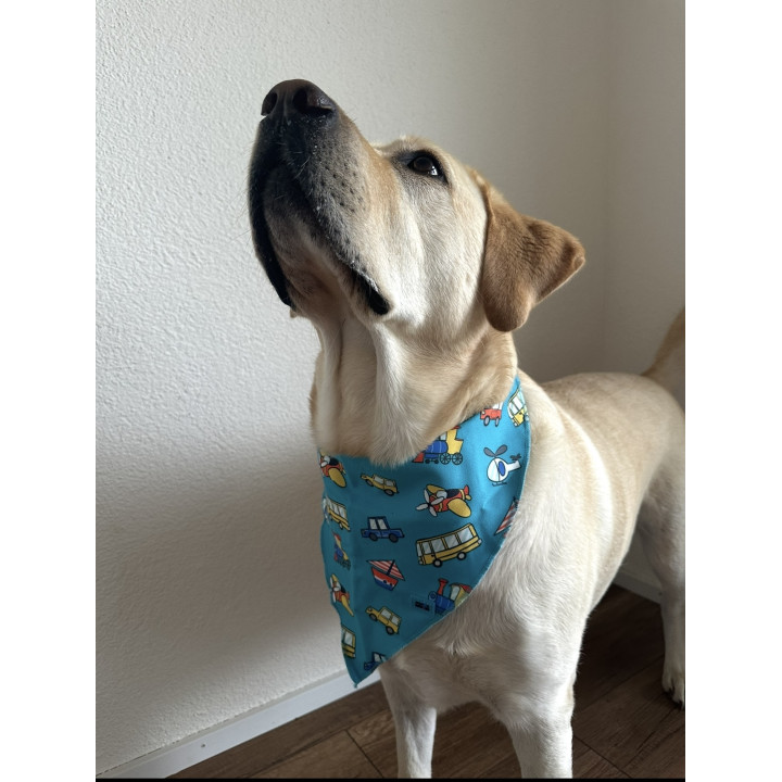 Dog Bandana with Travel Print – Adventure Dog Accessory