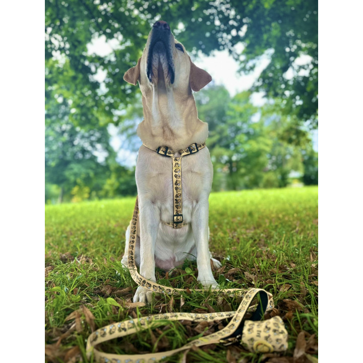 Adjustable Dog Harness -  Save the Bees Collection