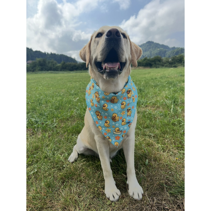 Dog Bandana with Duck Print – Playful & Stylish