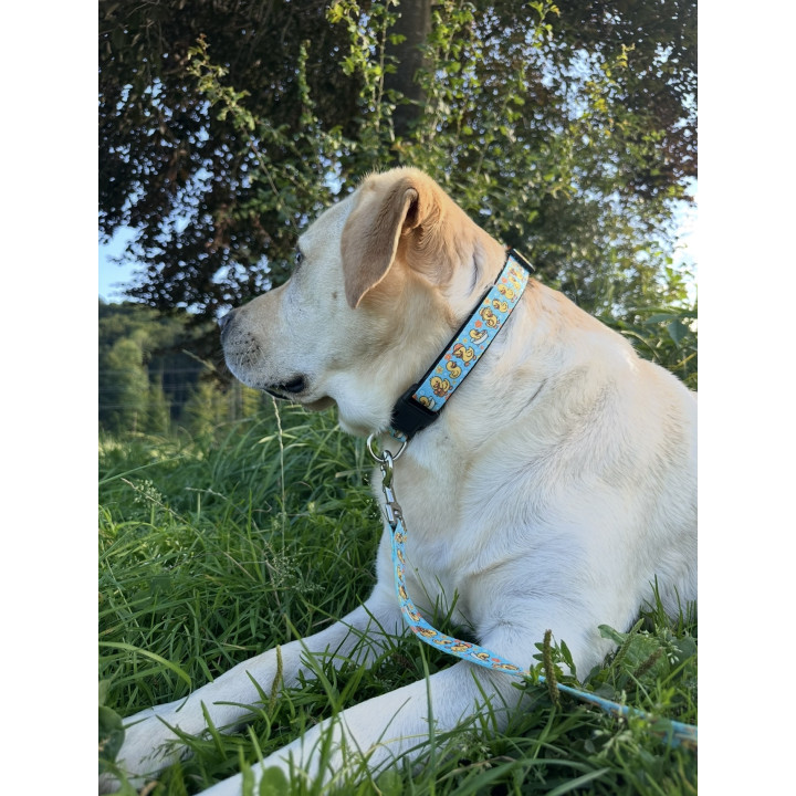 Duck Love Dog Collar