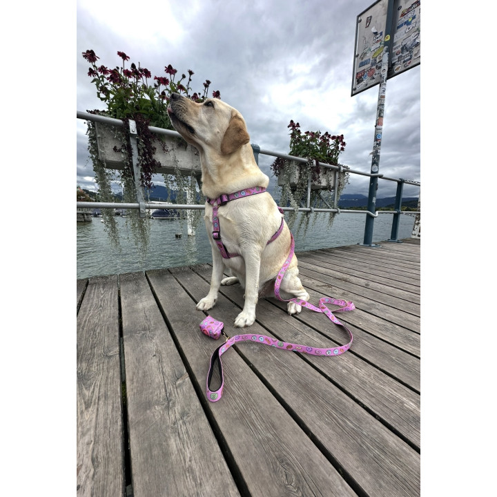 Donut Dog Harness – Dognut