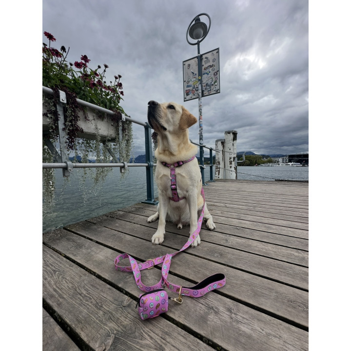 Donut Dog Harness – Dognut