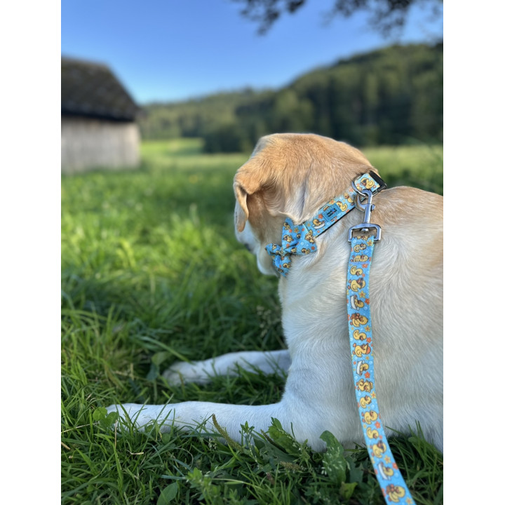 Duck Love Dog Leash 2m
