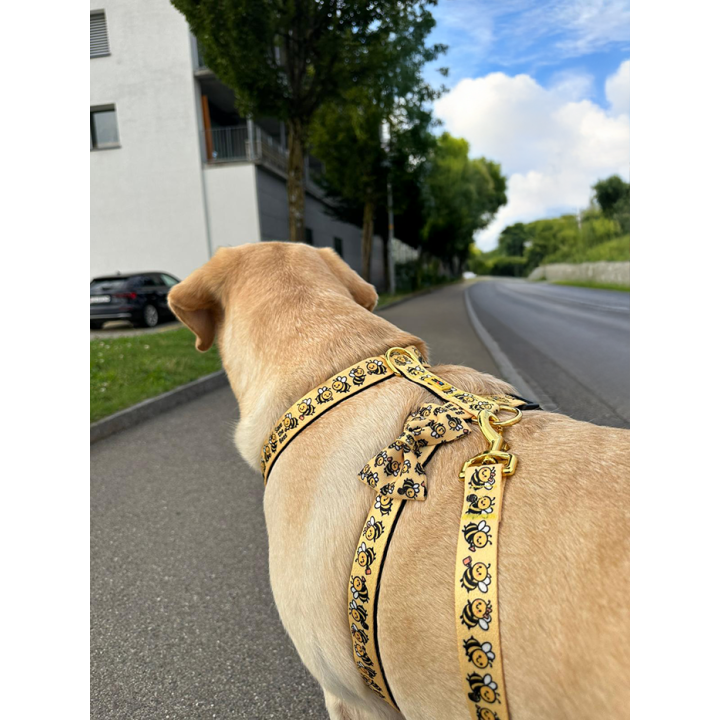 Dog Bowtie – Save the Bees Collection | Cute Bee Print Accessory