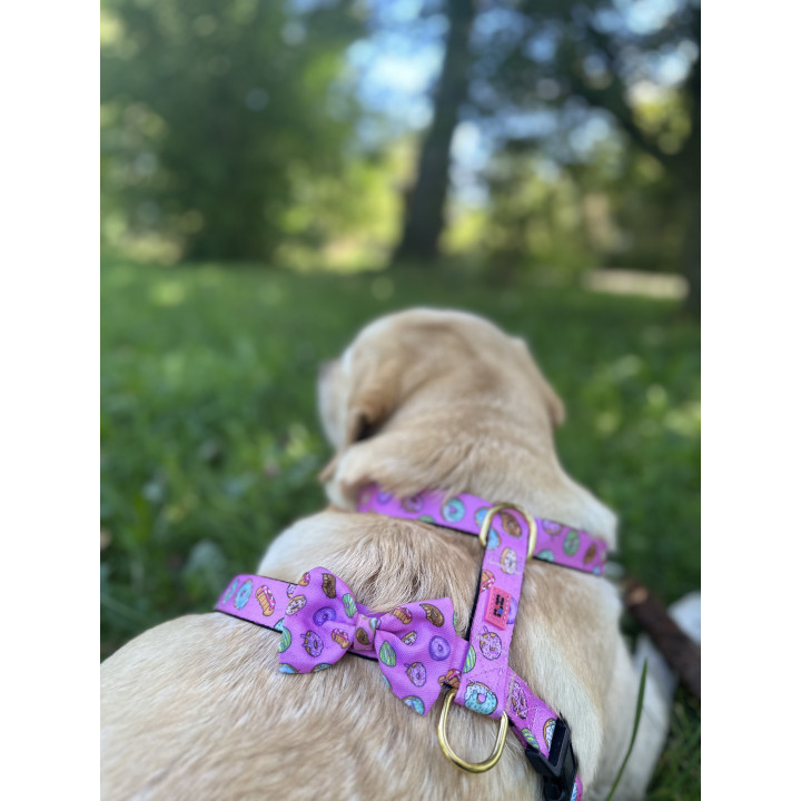 Donut Dog Harness – Dognut