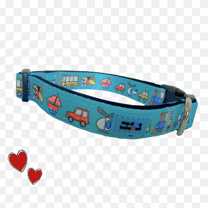 Travel Dog Collar