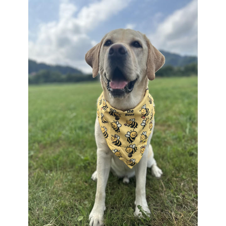 Dog Bandana with Bee Print – Cute & Comfortable Accessory