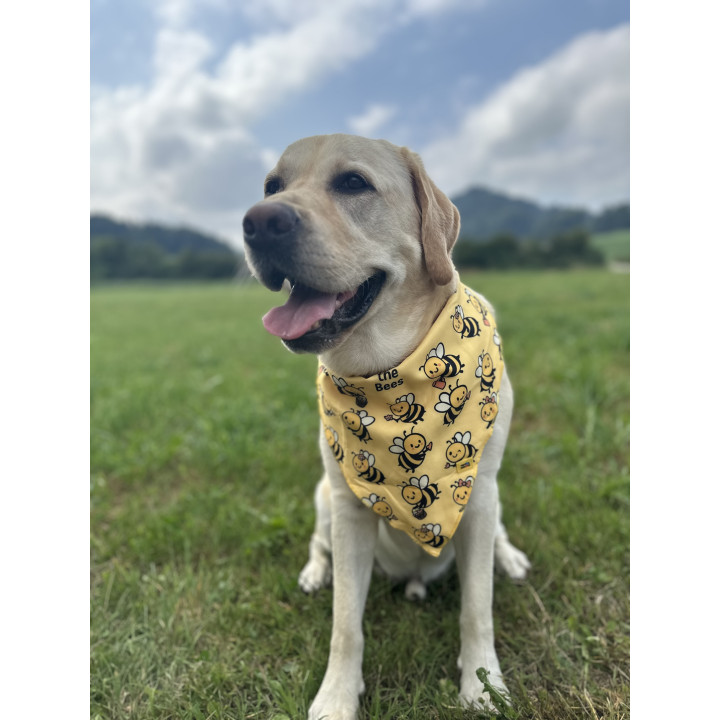 Dog Bandana with Bee Print – Cute & Comfortable Accessory