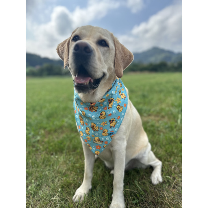 Dog Bandana with Duck Print – Playful & Stylish