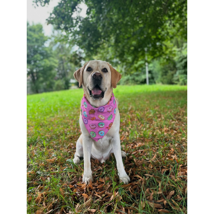 Hundehalstuch mit Donuts – Buntes Hunde-Accessoire